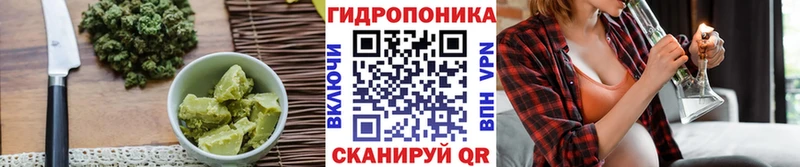 Cannafood марихуана  Купить закладки  Алзамай 