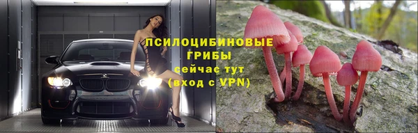 шишки Верея