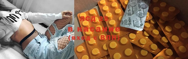 шишки Верея