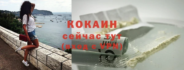 шишки Верея