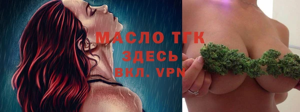 шишки Верея