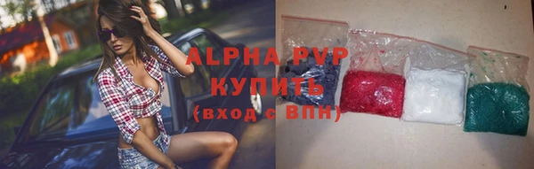 шишки Верея