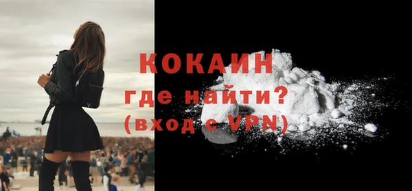 шишки Верея