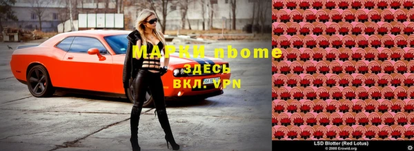 шишки Верея