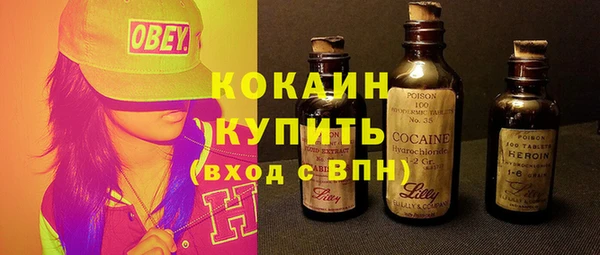 шишки Верея