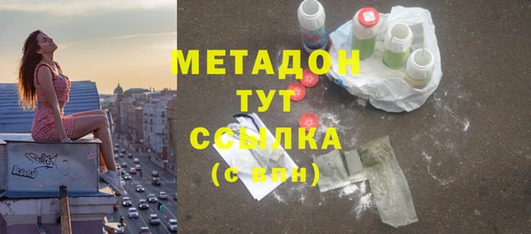шишки Верея