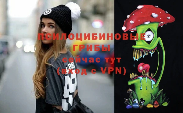 ГАЛЛЮЦИНОГЕННЫЕ ГРИБЫ Верхний Тагил