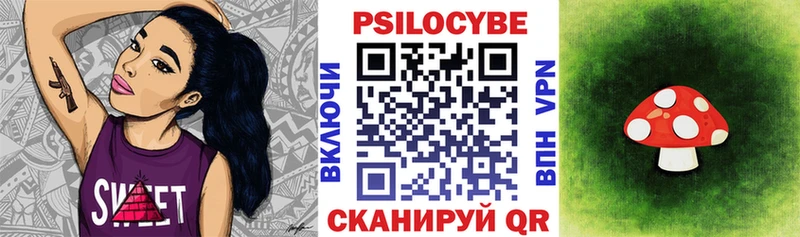 Купить где Алзамай Псилоцибиновые грибы мухоморы